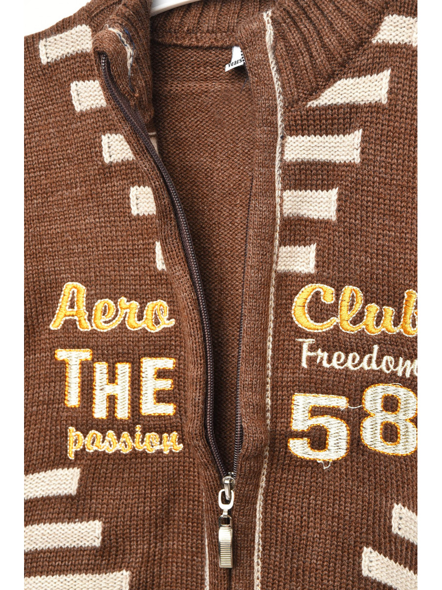 Кофта дитяча для хлопчика коричневого кольору 420 203419C