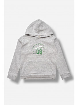 Світшот дитячий для хлопчика на флісі сірого кольору 307 205999C