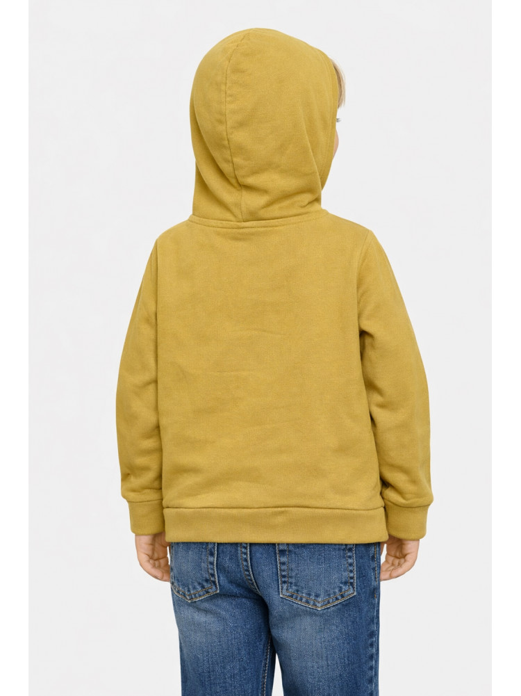 Світшот дитячий для хлопчика на флісі оливкового кольору 306 206005C