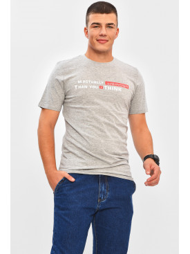 Футболка мужская серого цвета с принтом 206348C