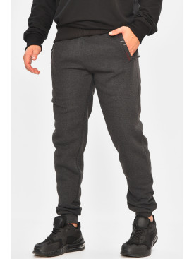 Спортивні штани чоловічі на флісі темно-сірого кольору 41748 207132C