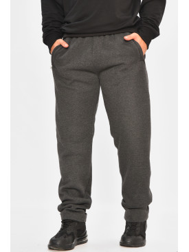 Спортивні штани чоловічі на флісі темно-сірого кольору 41223 207136C