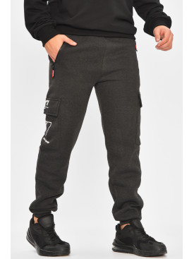 Спортивні штани чоловічі на флісі темно-сірого кольору L-6712 207198C
