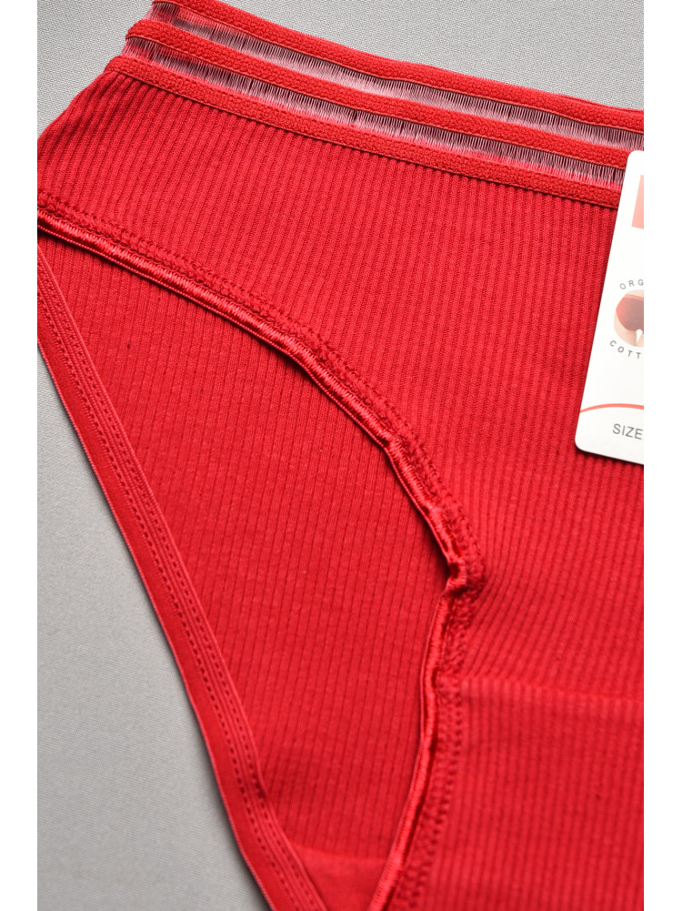 Труси жіночі бордового кольору 3436 207663C