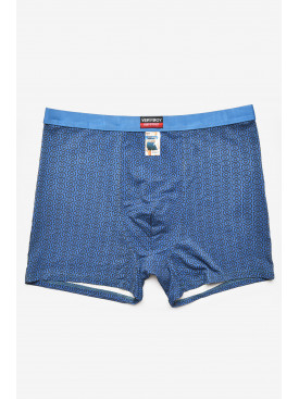 Боксеры мужские синего цвета 7225 207677C