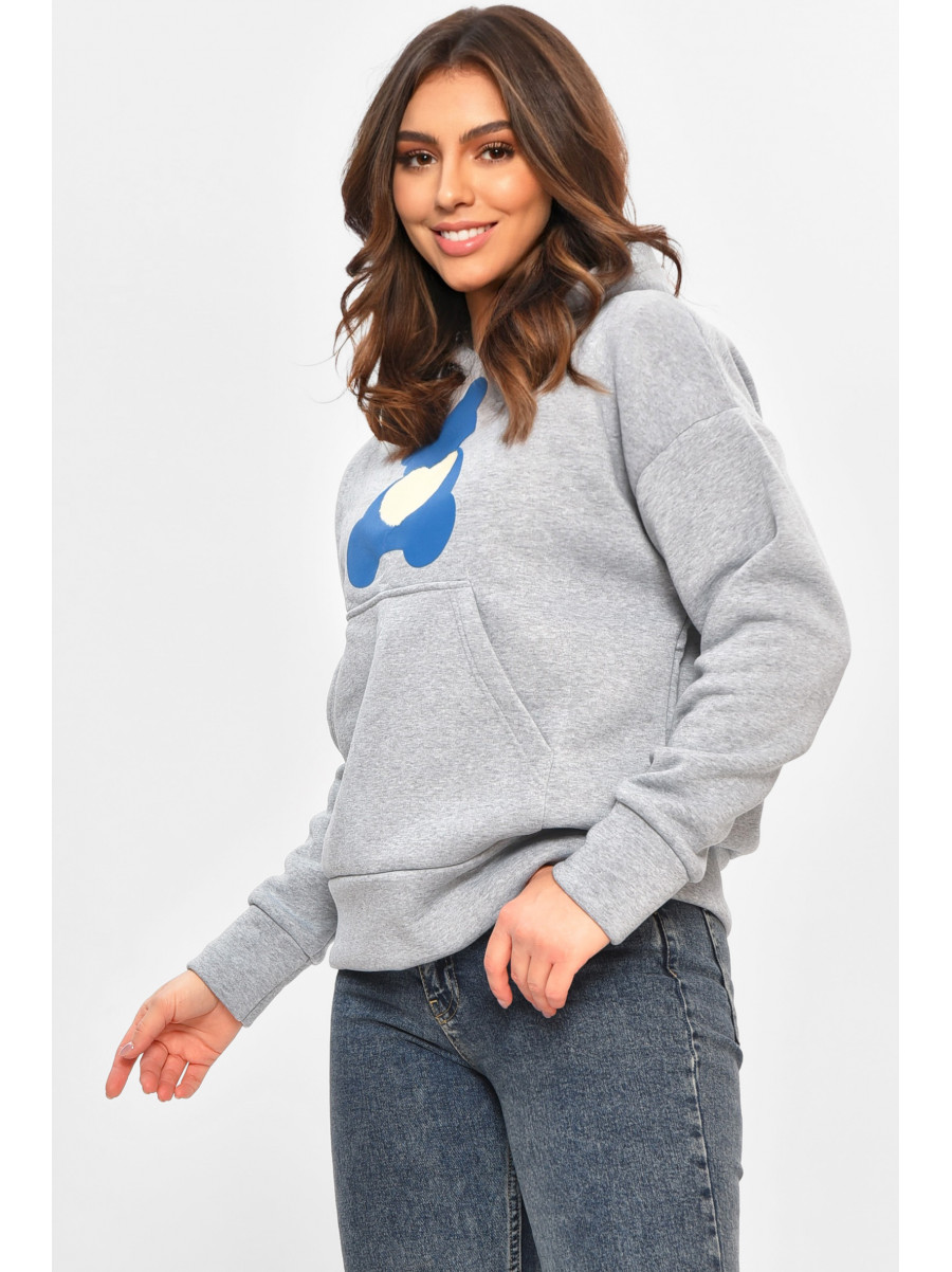 Худі жіноче на флісі сірого кольору з принтом 1377 207741C
