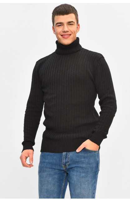 Гольф мужской однотонный акрил черного цвета 57118 207906C Гольф мужской однотонный акрил черного цвета 57118 207906C