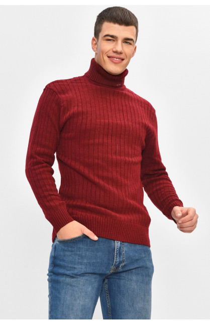 Гольф чоловічий однотонний акрил бордового кольору 57124 207907C