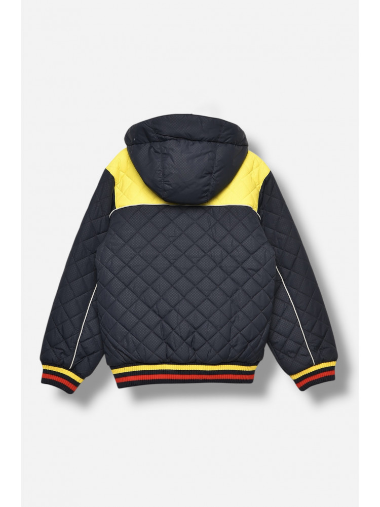 Куртка дитяча для хлопчика демісезонна синього кольору 8111 207956C