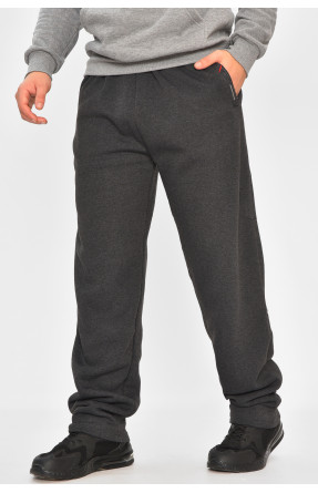 Спортивні штани чоловічі на флісі темно-синього кольору R-41753-pk 208020C