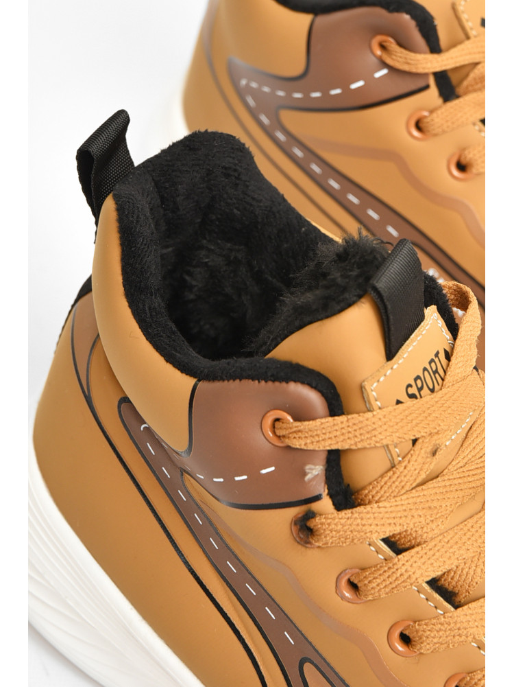 Кроссовки мужские светло-коричневого цвета на меху М 137 208030C