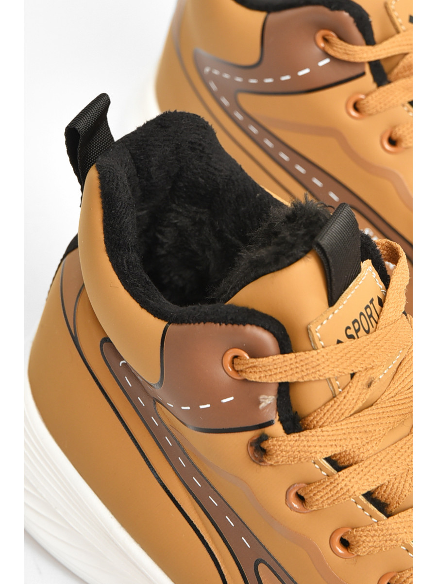 Кроссовки мужские светло-коричневого цвета на меху М 137 208030C