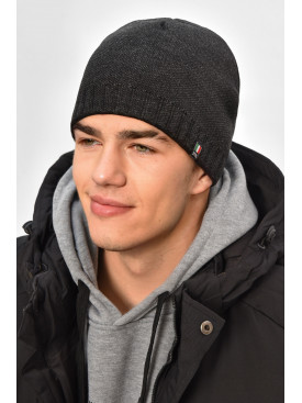 Шапка мужская на флисе темно-серого цвета 208058C Шапка мужская на флисе темно-серого цвета 208058C