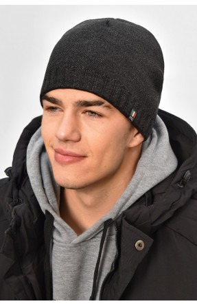 Шапка мужская на флисе темно-серого цвета 208058C