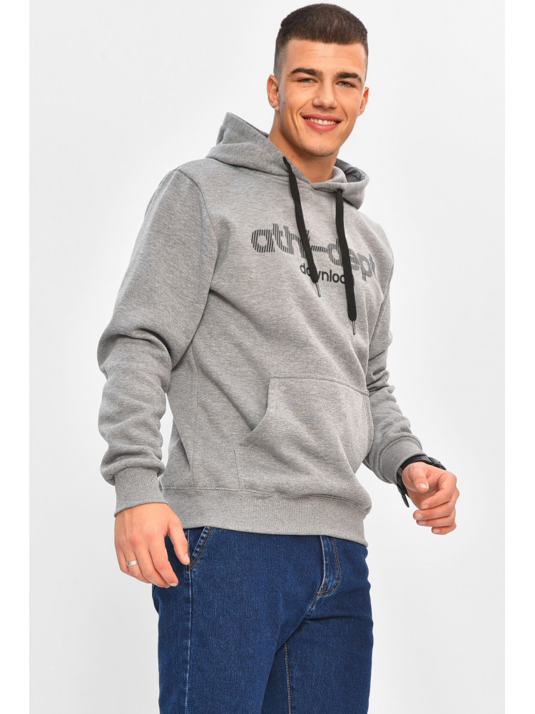 Худи мужское на флисе серого цвета 1616 208068C