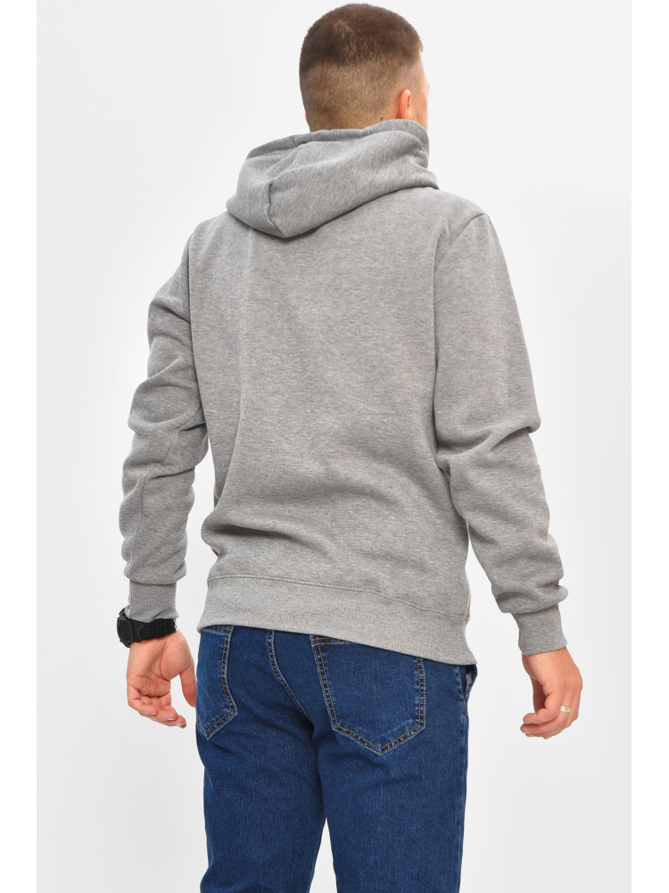 Худи мужское на флисе серого цвета 1616 208068C