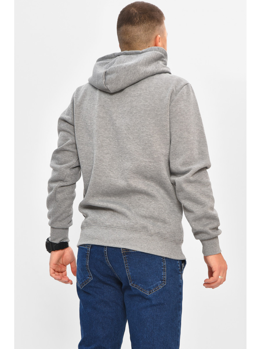 Худи мужское на флисе серого цвета 1616 208068C