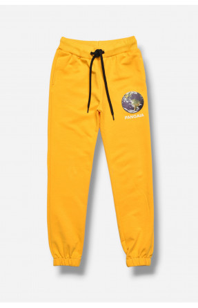 Спортивні штани для дівчинки жовтого кольору 208078C