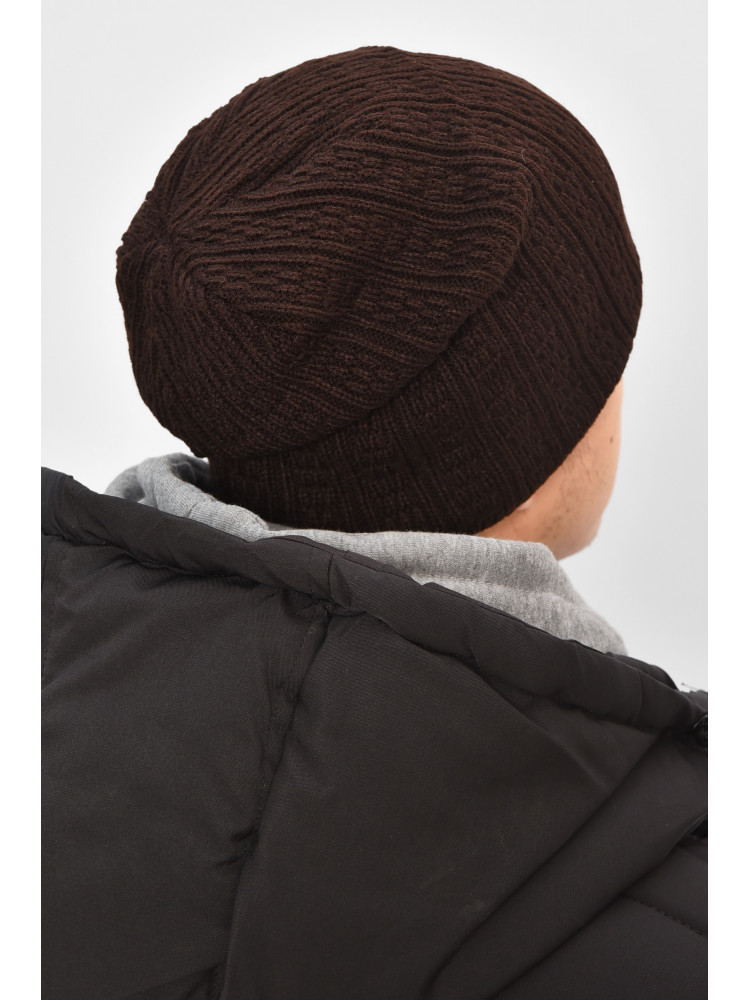 Шапка мужская на флисе коричневого цвета 3020 208090C