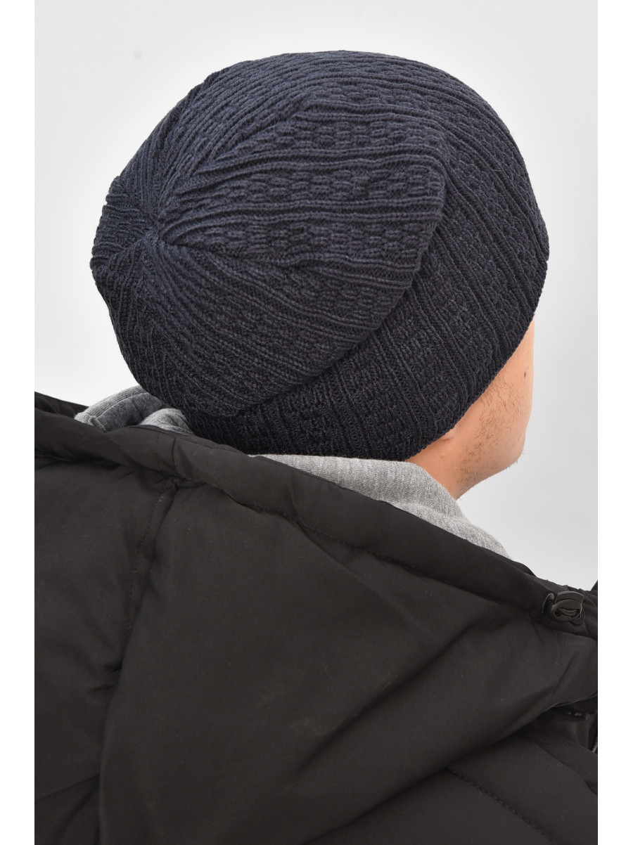 Шапка мужская на флисе серого цвета 3020 208095C