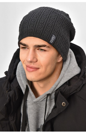 Шапка чоловіча на флісі темно-сірого кольору 3020 208097C