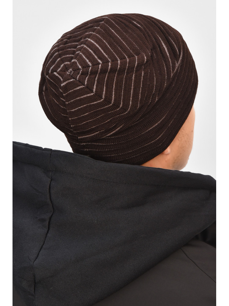 Шапка мужская на флисе коричневого цвета 3044 208105C