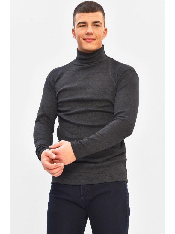 Гольф мужской однотонный на флисе тёмно-серого цвета 208132C