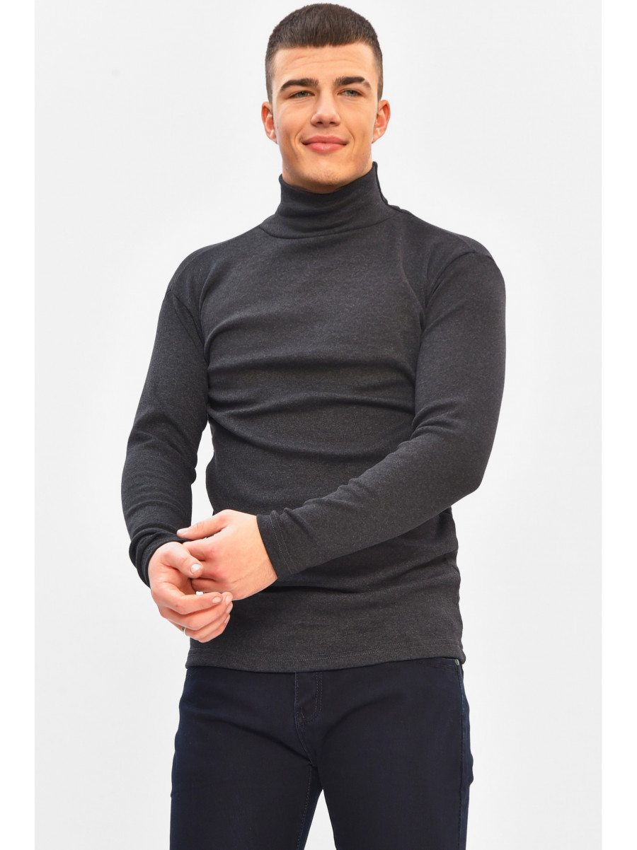 Гольф мужской однотонный на флисе тёмно-серого цвета 208132C
