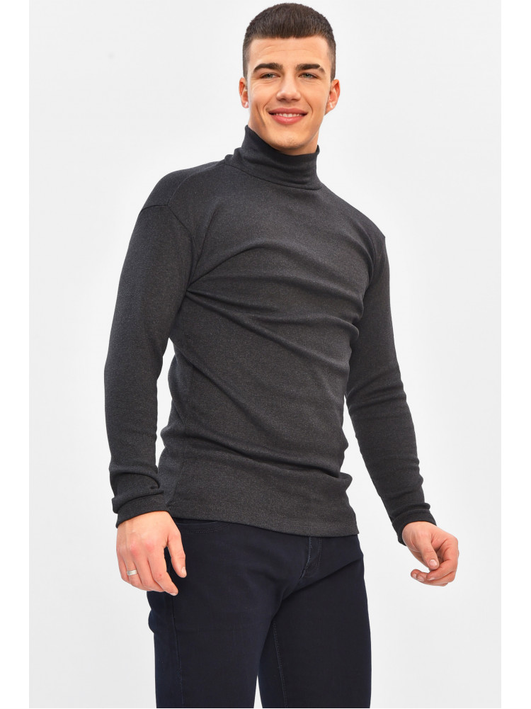 Гольф мужской однотонный на флисе тёмно-серого цвета 208132C