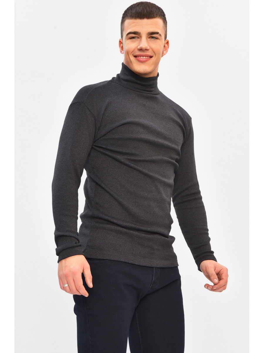 Гольф мужской однотонный на флисе тёмно-серого цвета 208132C