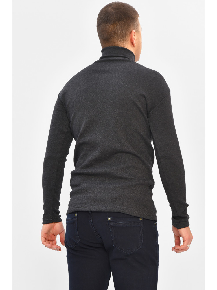 Гольф мужской однотонный на флисе тёмно-серого цвета 208132C