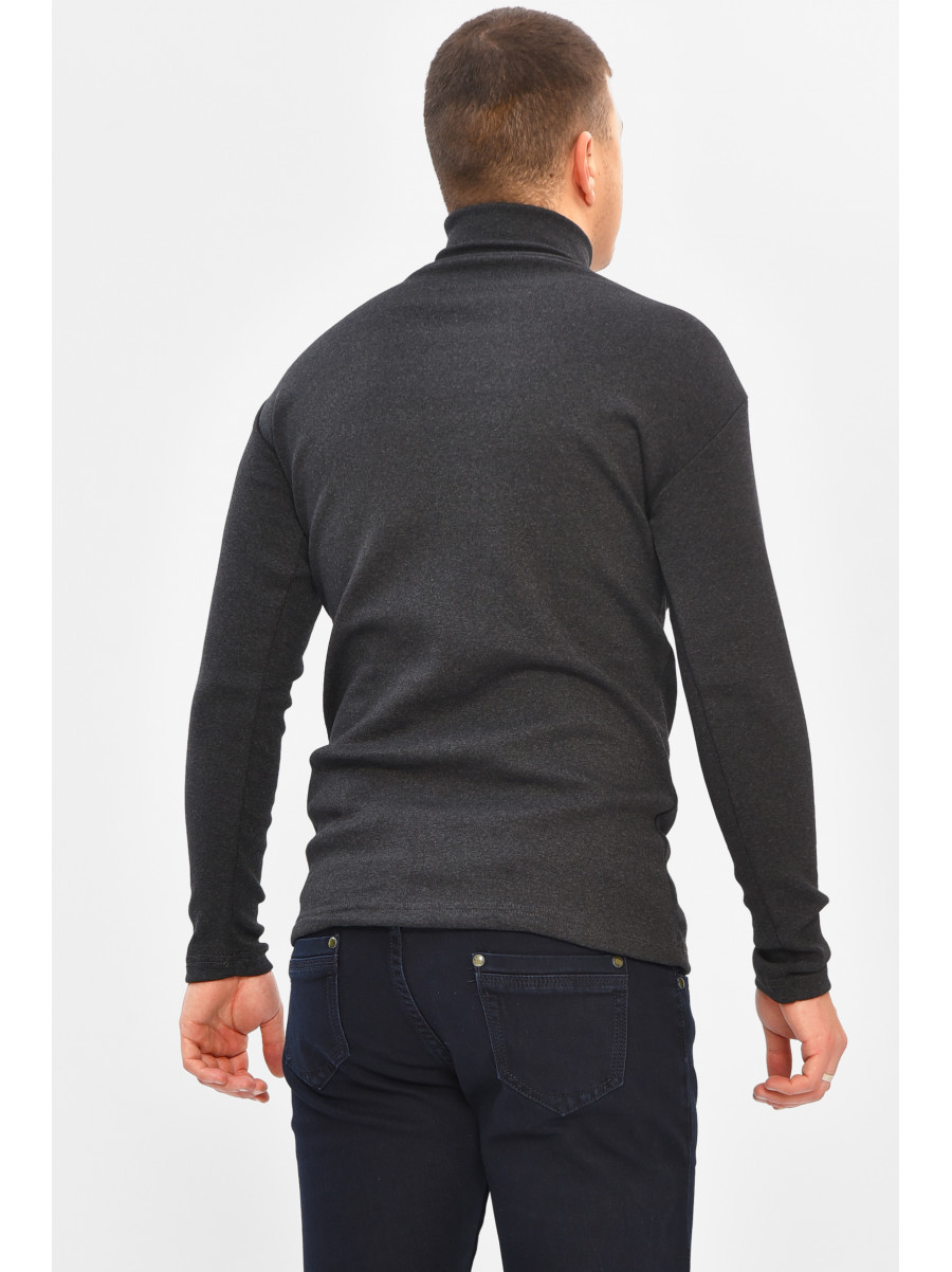 Гольф мужской однотонный на флисе тёмно-серого цвета 208132C