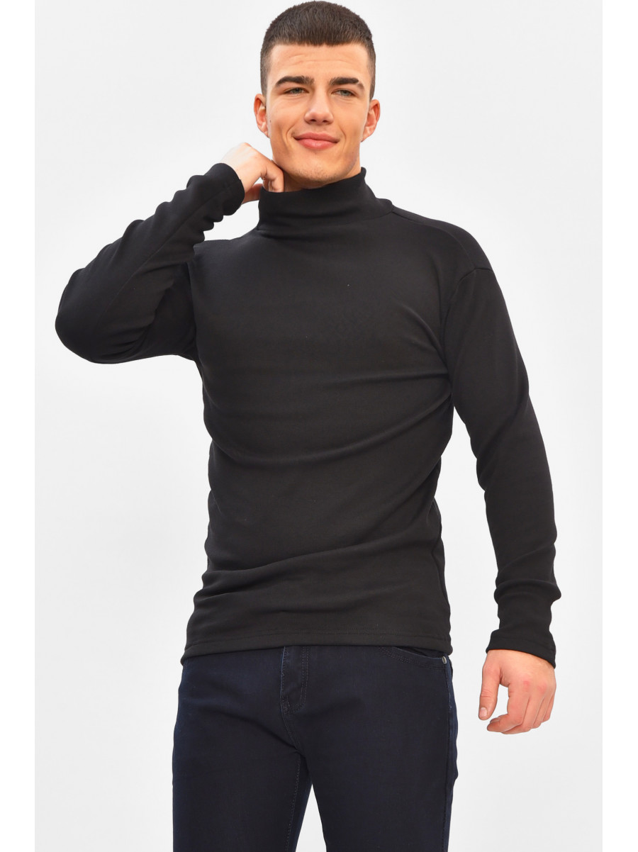 Гольф мужской однотонный на флисе черного цвета 1851 208135C