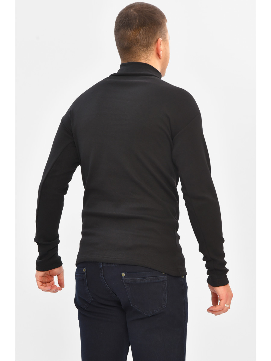 Гольф мужской однотонный на флисе черного цвета 1851 208135C
