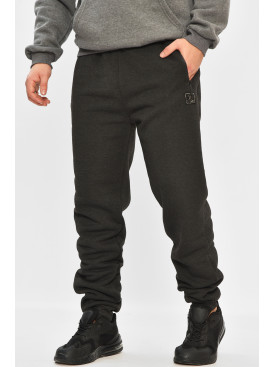 Спортивні штани чоловічі на флісі чорного кольору А924-9 208418C