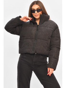 Куртка женская демисезонная черного цвета 17279 208515C