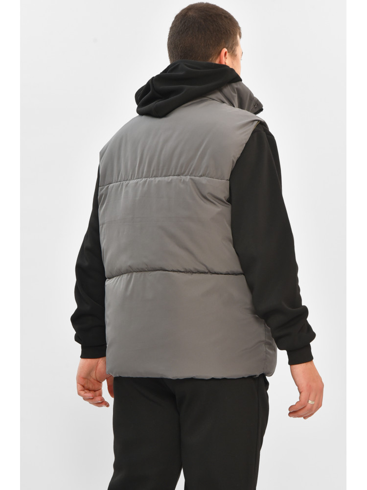 Жилетка мужская демисезонная серого цвета b-1 208536C