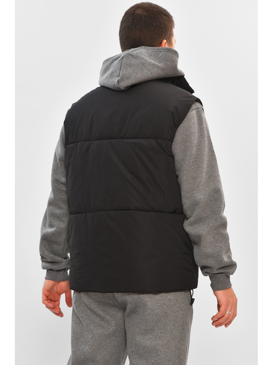 Жилетка мужская демисезонная черного цвета b-1 208538C