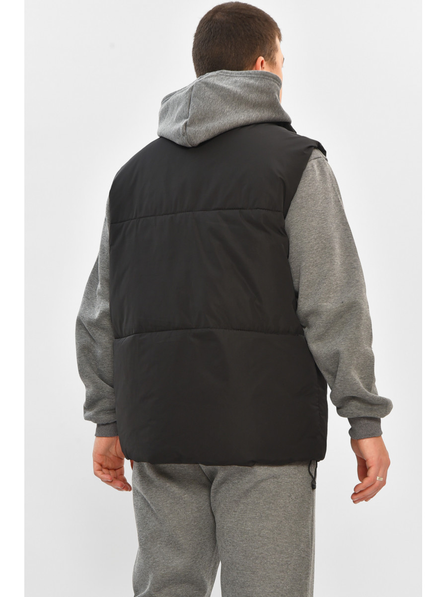 Жилетка мужская демисезонная черного цвета b-1 208540C