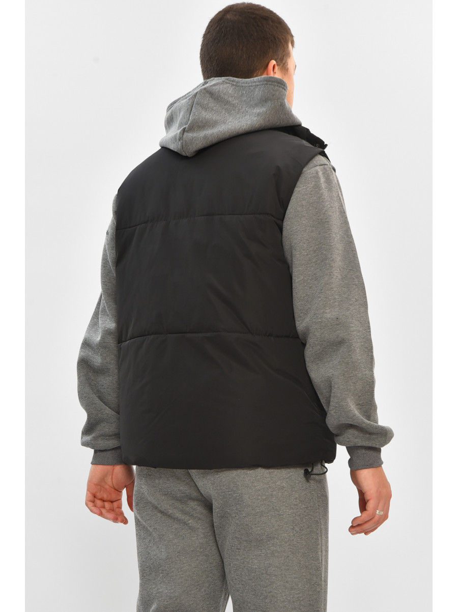 Жилетка мужская демисезонная черного цвета b-1 208541C