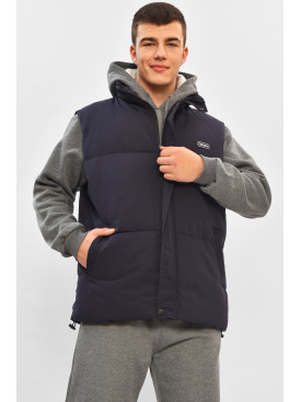 Жилетка чоловіча демісезонна синього кольору b-1 208543C