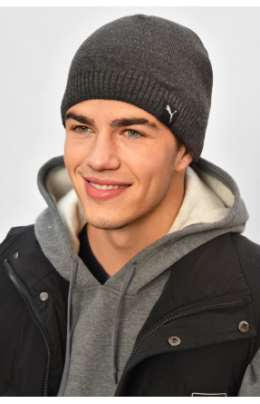 Шапка мужская на флисе серого цвета 208575C Шапка мужская на флисе серого цвета 208575C
