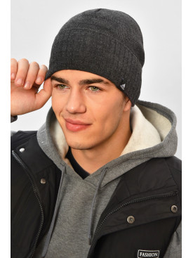 Шапка мужская на флисе серого цвета 208578C