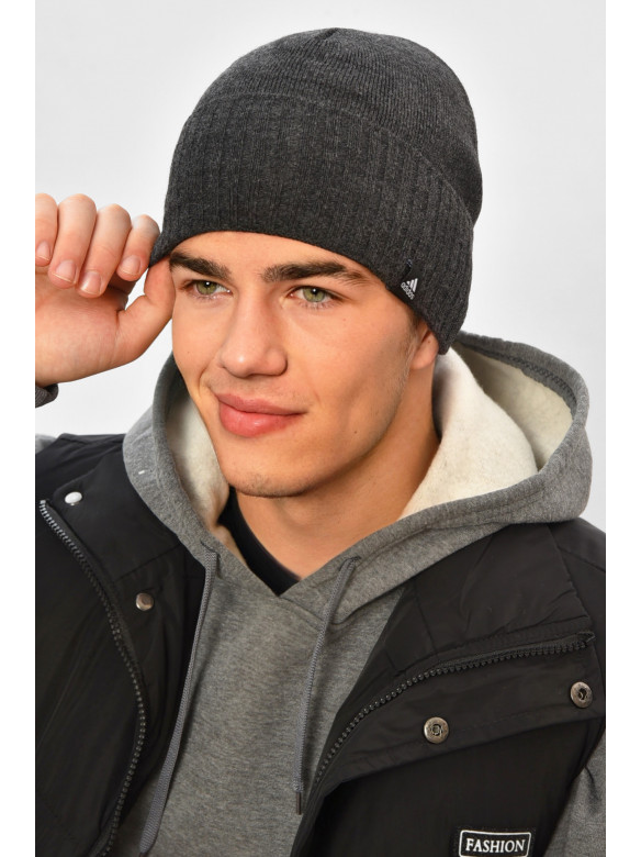 Шапка мужская на флисе серого цвета 208578C