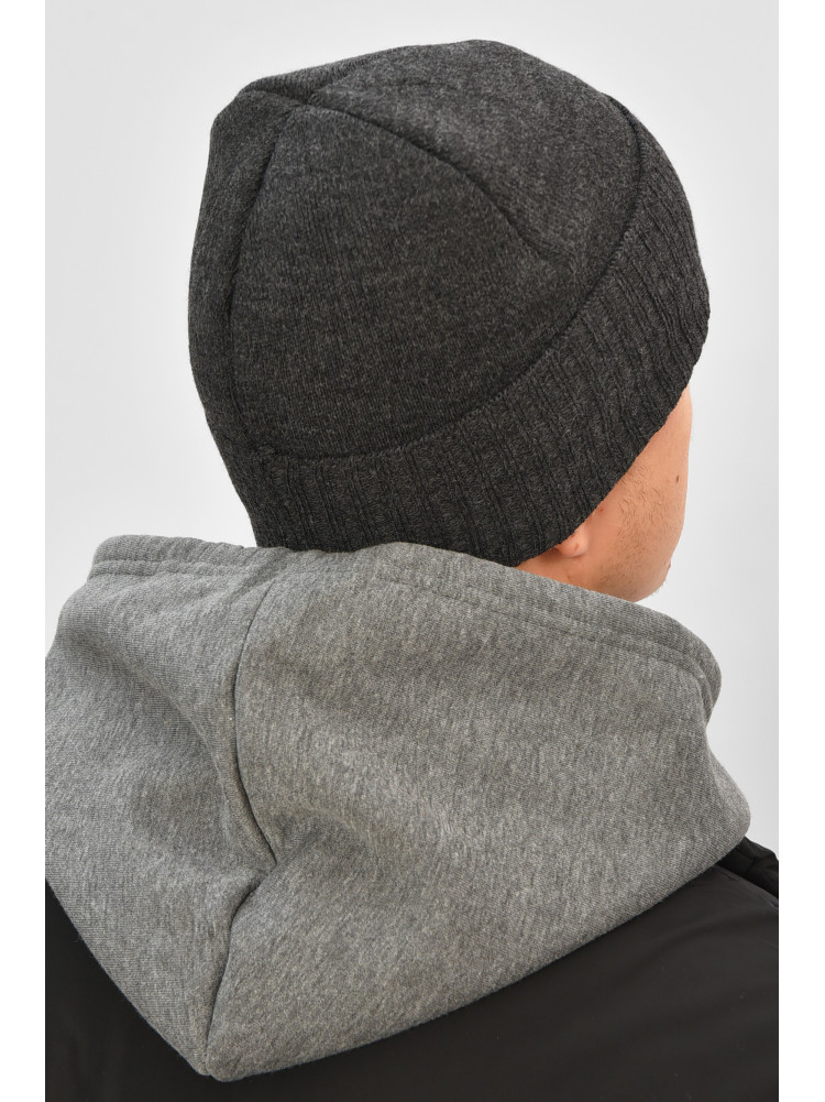 Шапка мужская на флисе серого цвета 208578C