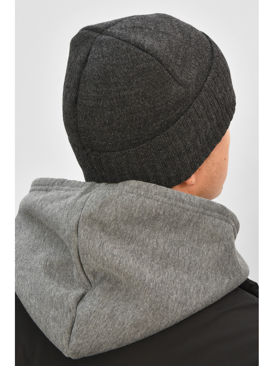 Шапка мужская на флисе серого цвета 208578C
