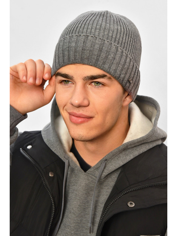 Шапка мужская на флисе серого цвета 208580C