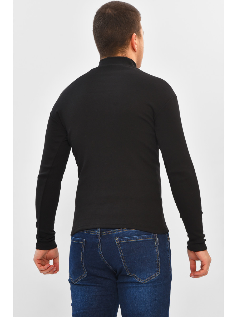Гольф мужской однотонный на флисе черного цвета 34336 208589C