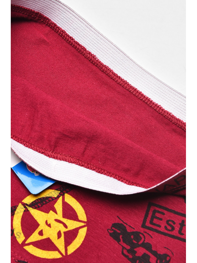 Боксери дитячі для хлопчика бордового кольору з принтом 8231 208898C