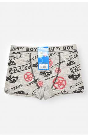 Боксери дитячі для хлопчика сірого кольору з принтом 8231 208900C Боксери дитячі для хлопчика сірого кольору з принтом 8231 208900C